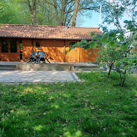 Holiday home Knusse Blokhut Op Groot En Perceel @ Veluwe *