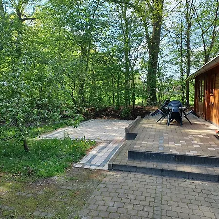 Holiday home Knusse Blokhut Op Groot En Perceel @ Veluwe Epe